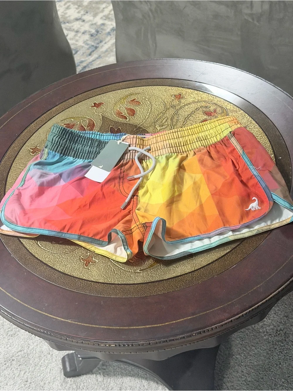 Rainbow Gradient Swim Shorts